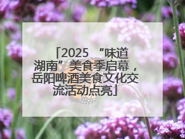 2025 “味道湖南”美食季启幕，岳阳啤酒美食文化交流活动点亮
